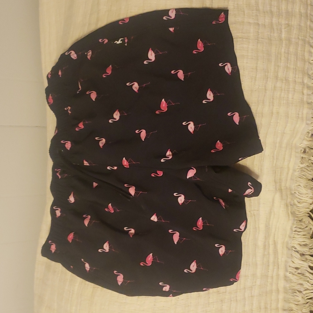 Mens Small Hollister Swim Trunks